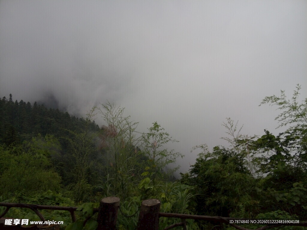 山间雾景 绿意隐现