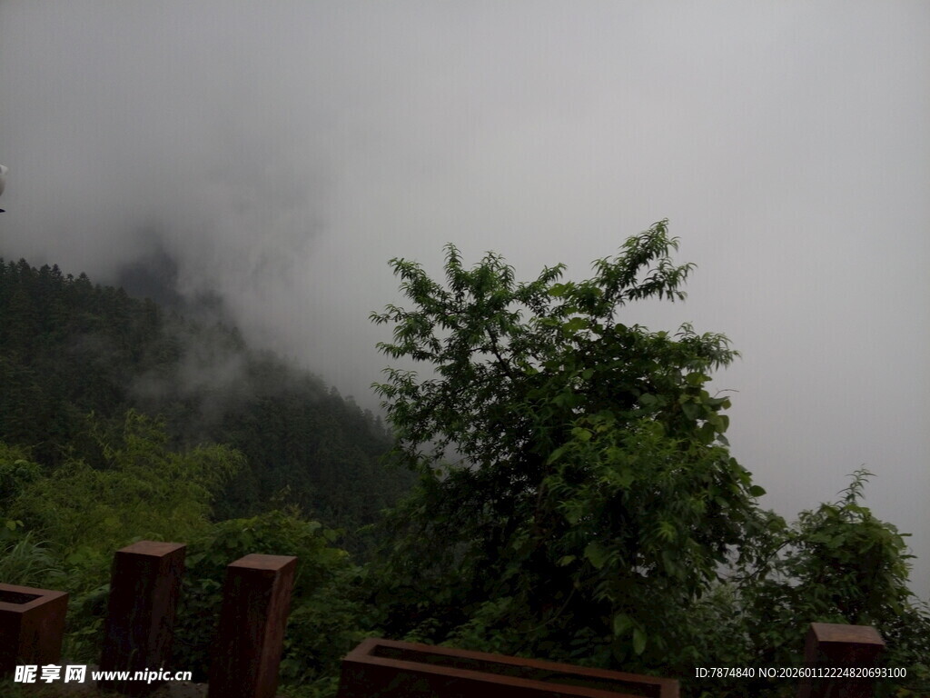 山间云雾缭绕的绿意景致