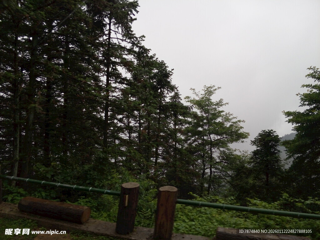 山林景致 绿意盎然