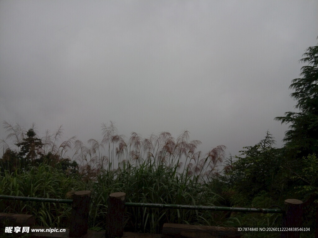 阴天中的草木与围栏