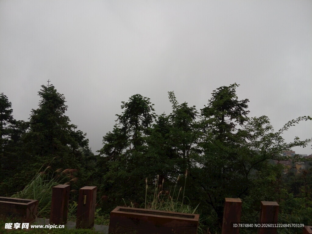 阴天中的绿植与围栏