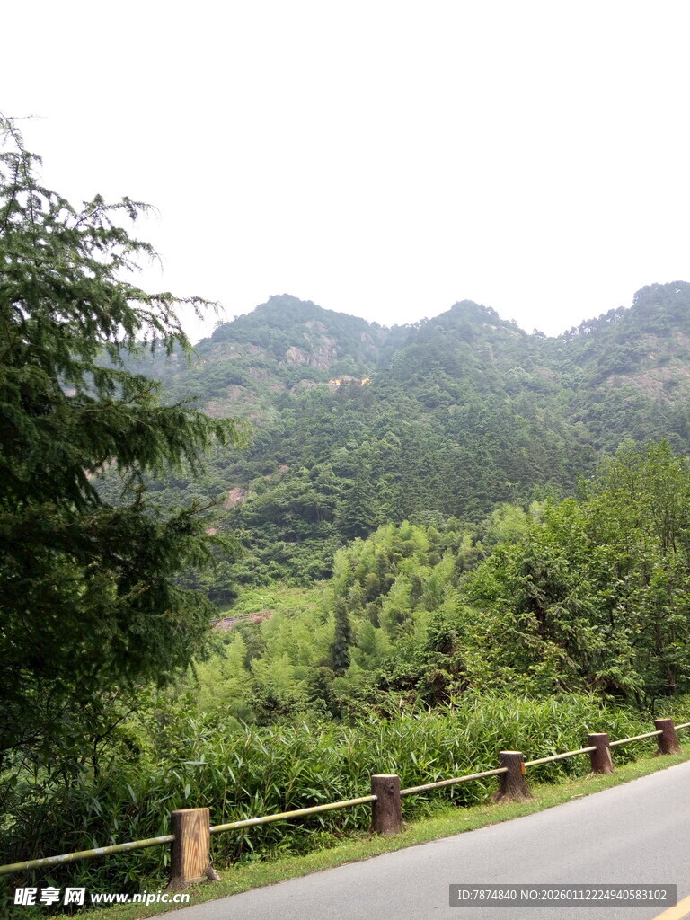 山间公路旁的葱郁景致