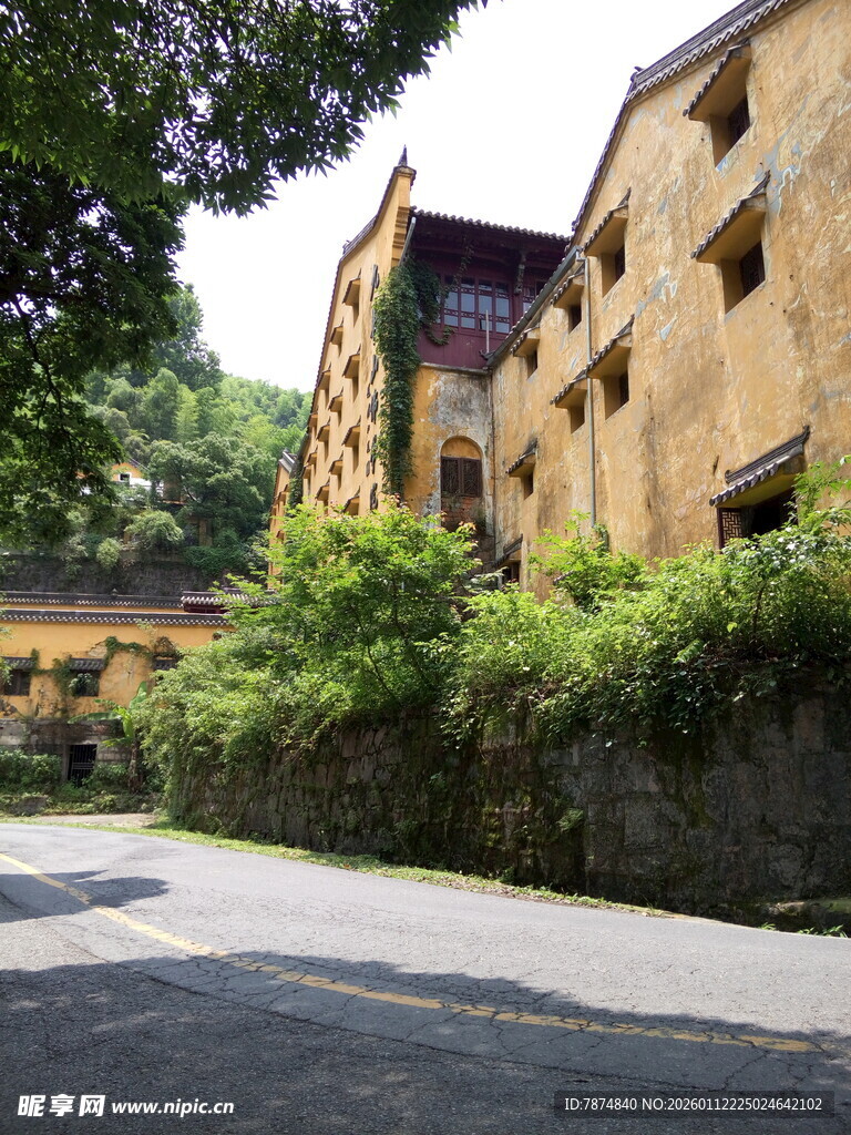 古朴建筑旁的绿荫街道