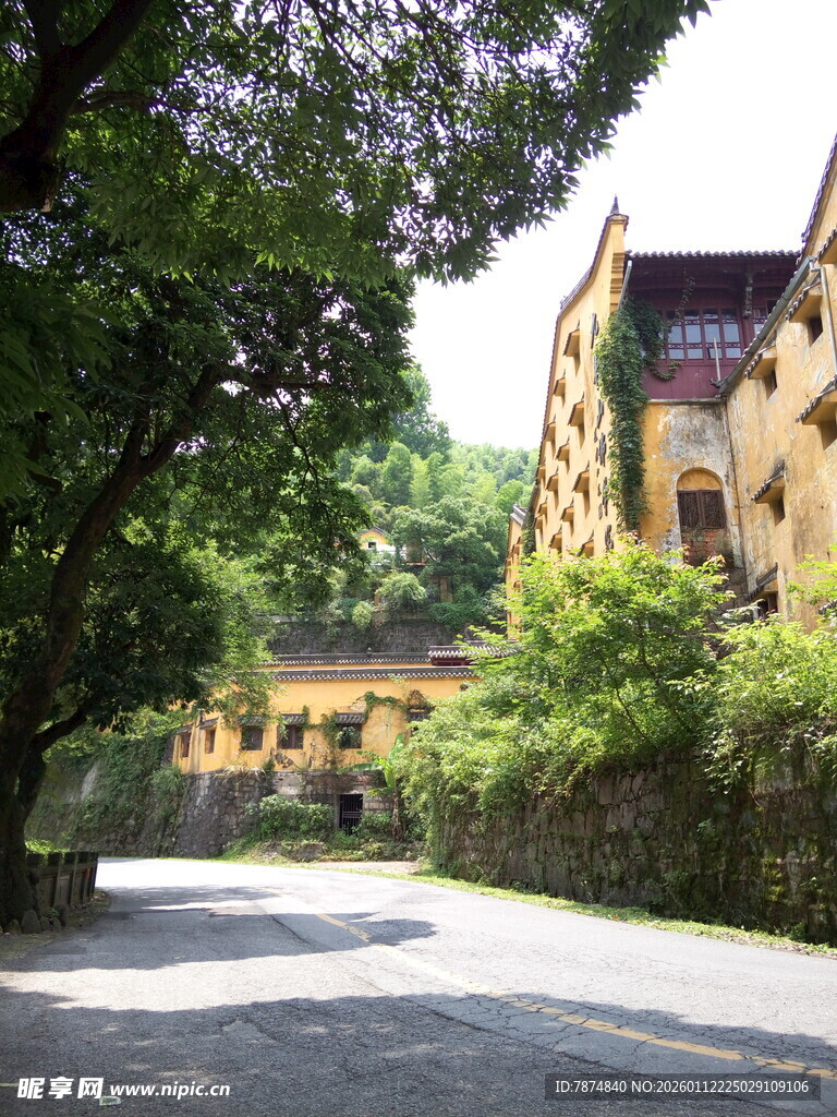 林荫下的古朴街道建筑