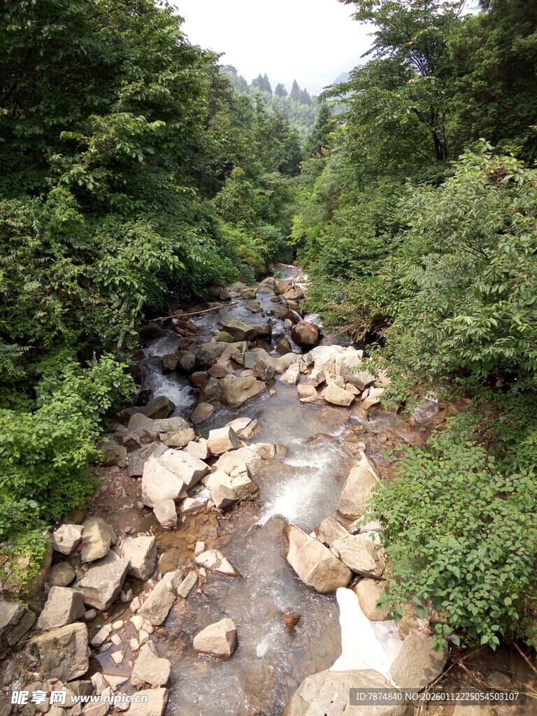 山间溪流 绿意环绕之景