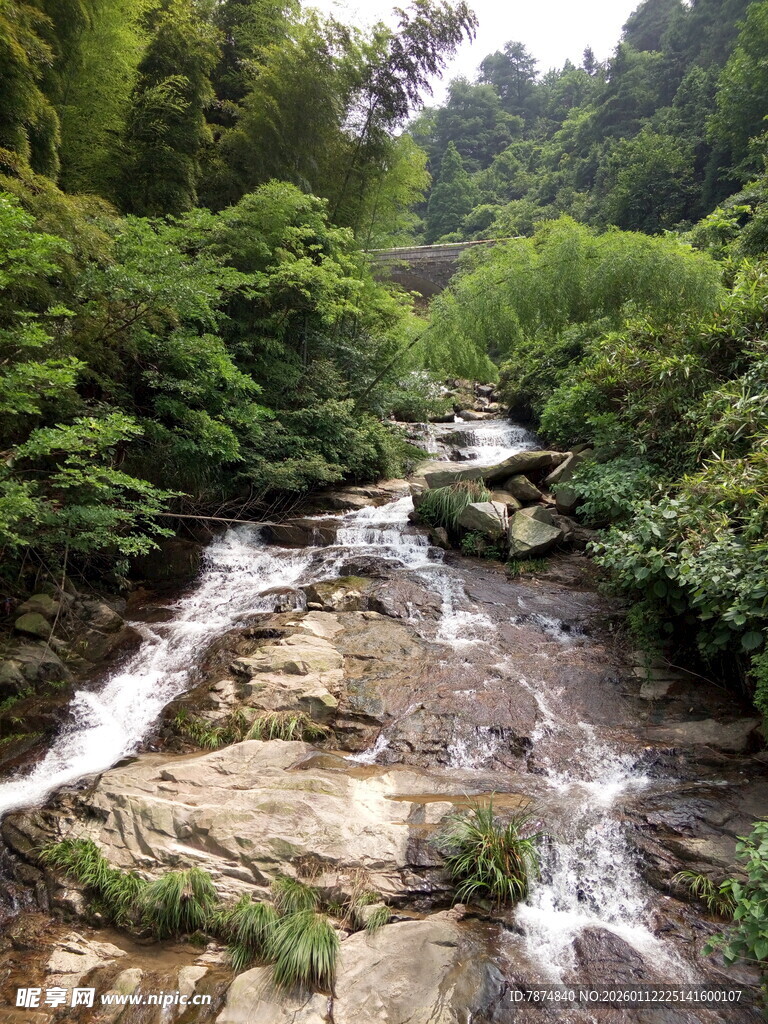 山间溪流 绿意盎然的景致
