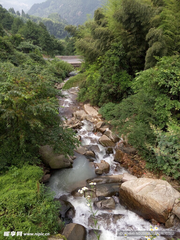 山间溪流穿林而过