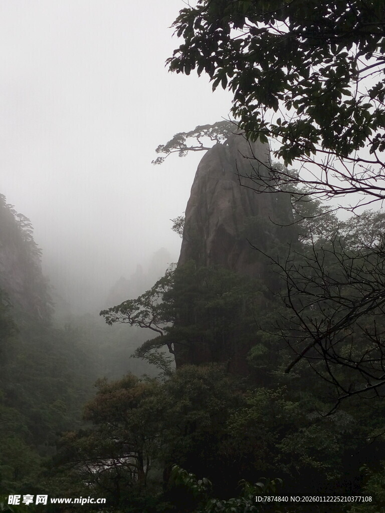 雾中峻峭山峰与葱郁林木