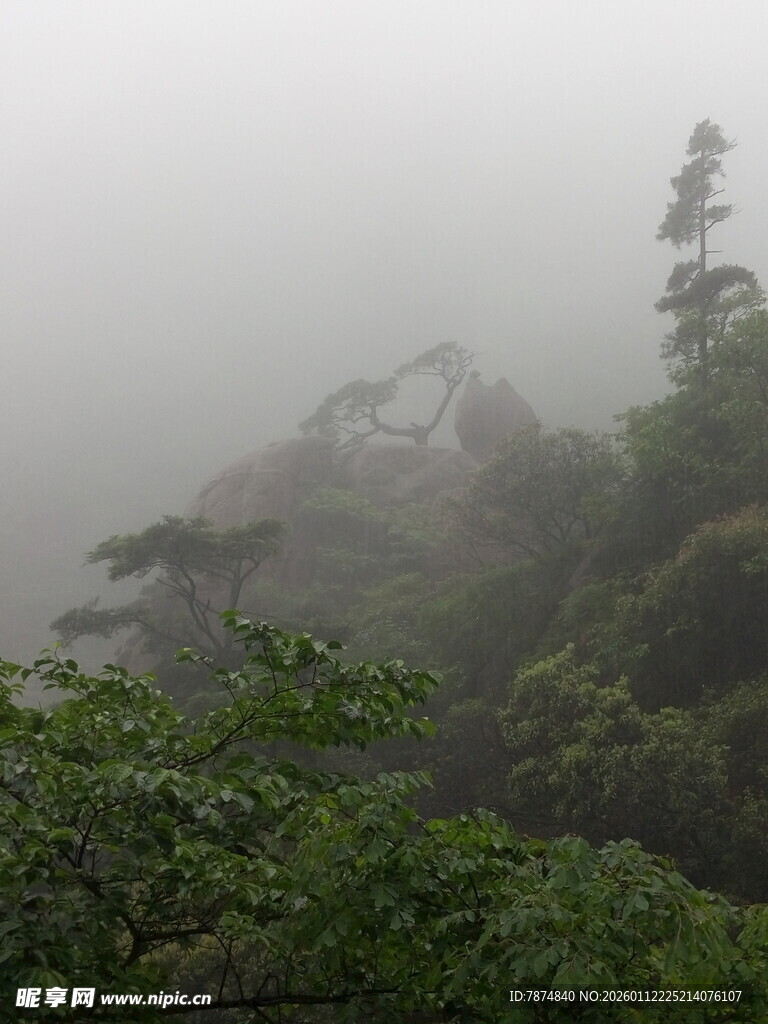 雾中葱郁山林景观