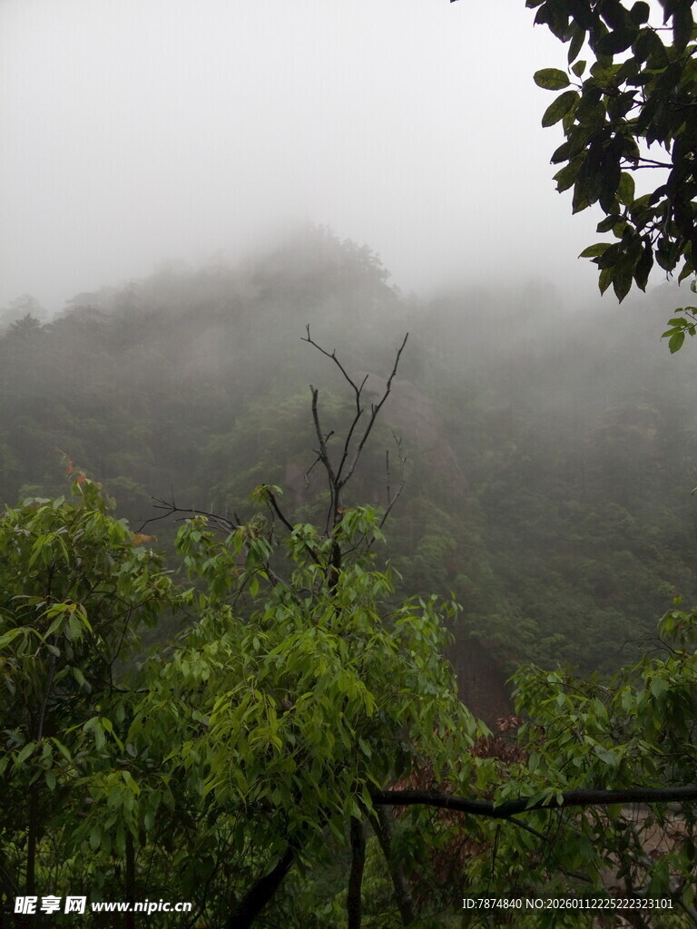 山间云雾缭绕的翠绿景致