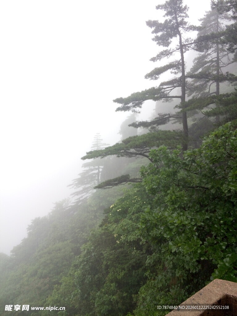 雾中山林景致