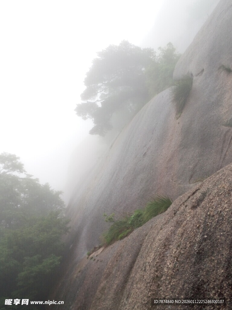 雾中峻峭山岩与绿植