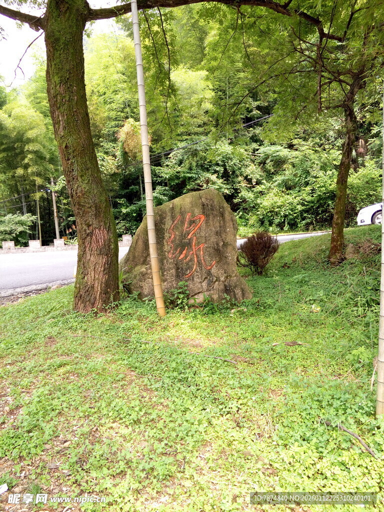 林间草地中的巨石景观