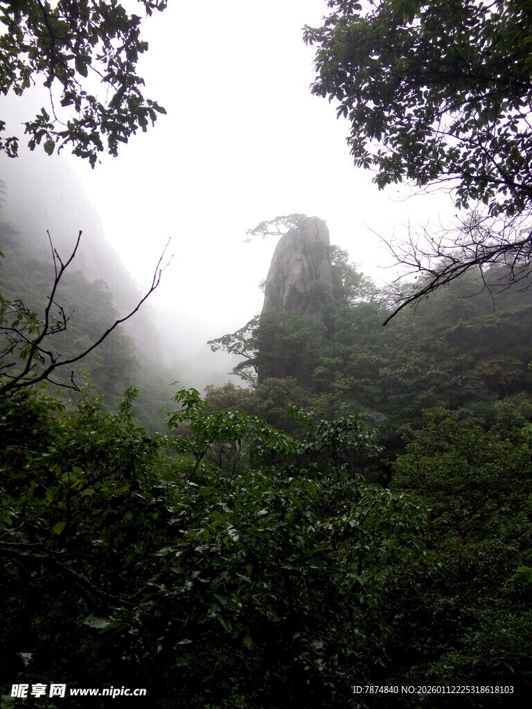 云雾缭绕的山林美景