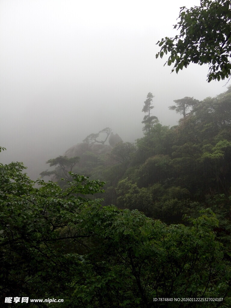 雾中葱郁山林景色