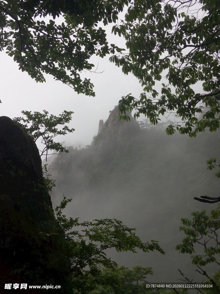 云雾缭绕的山林景致