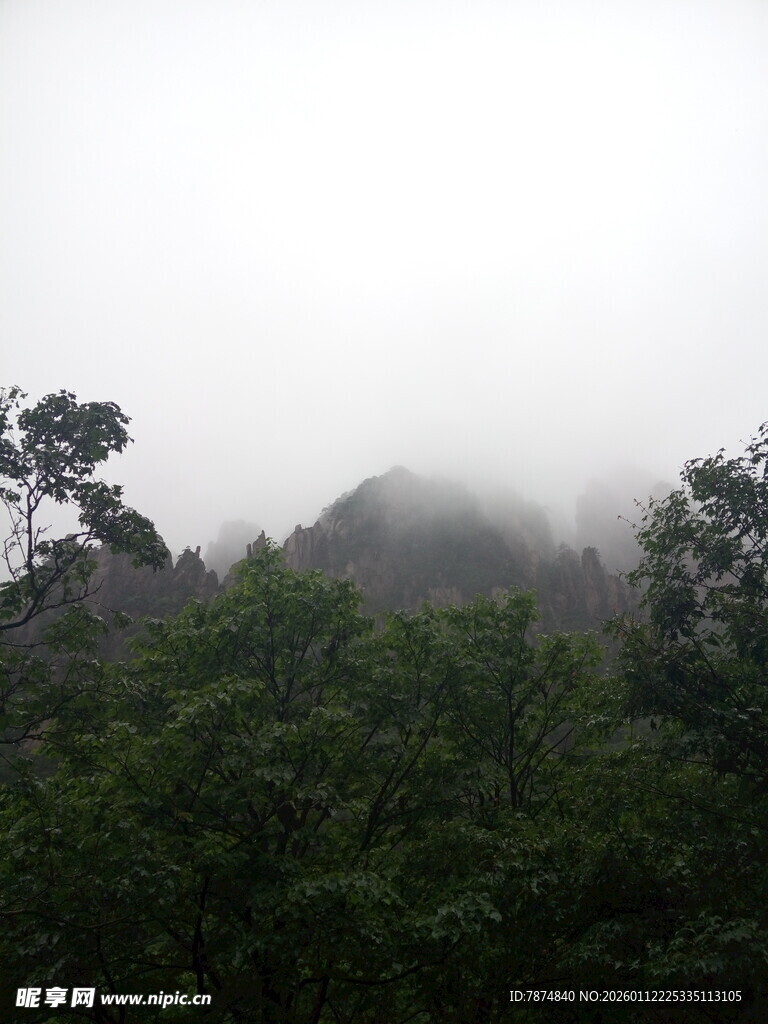 云雾缭绕的山林景观