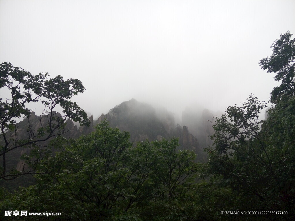 云雾缭绕中的山林景色
