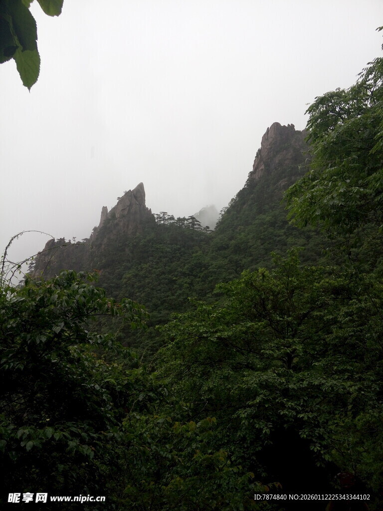 云雾缭绕的山林美景