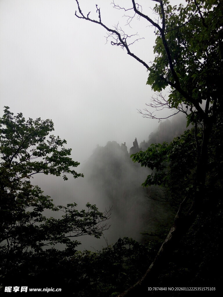 云雾缭绕中的山林景致