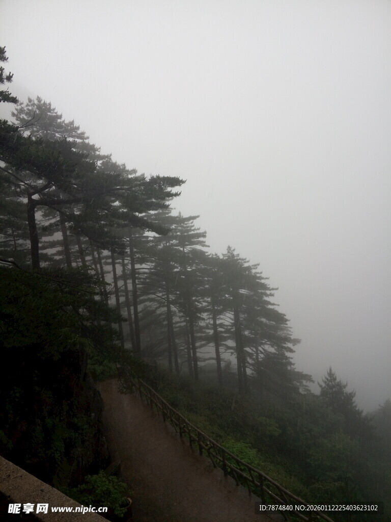 雾中蜿蜒山林小道