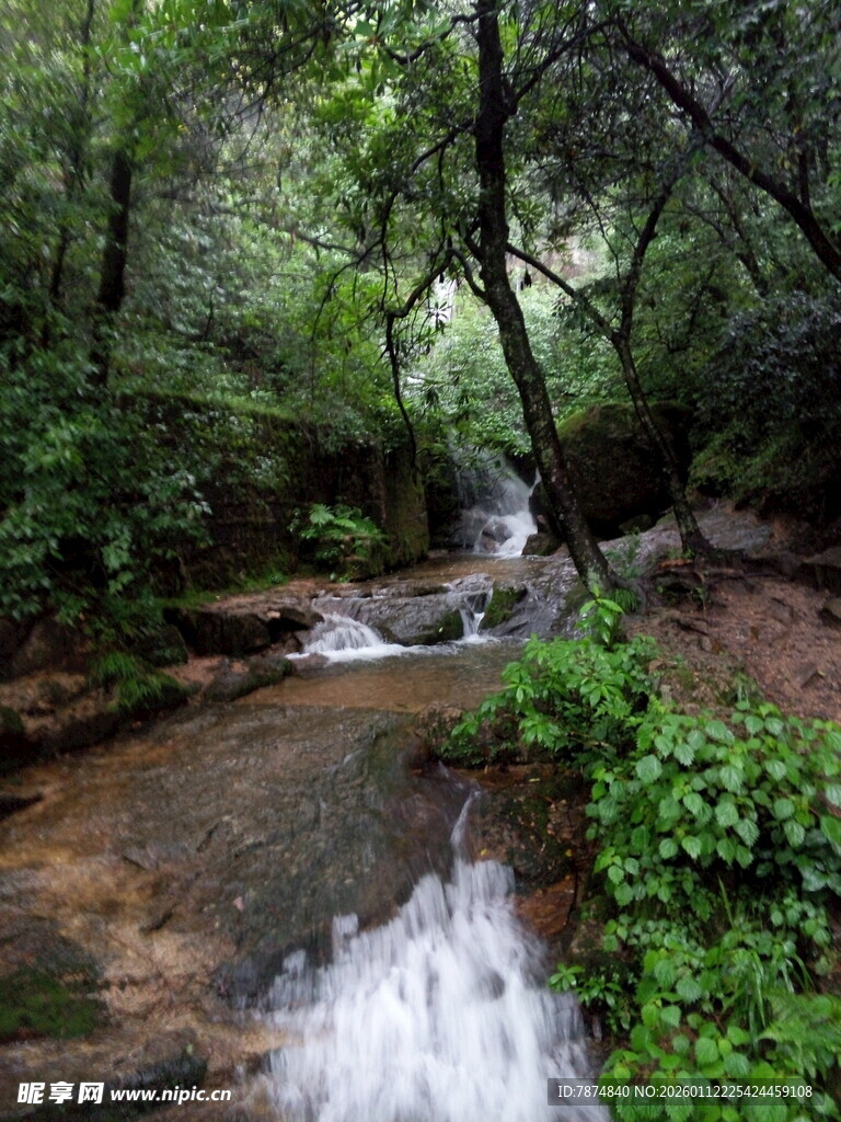 山林间潺潺溪流美景
