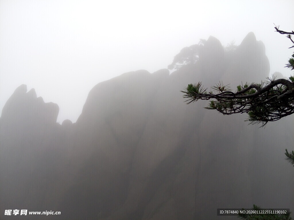 雾中黄山景 孤松傲立