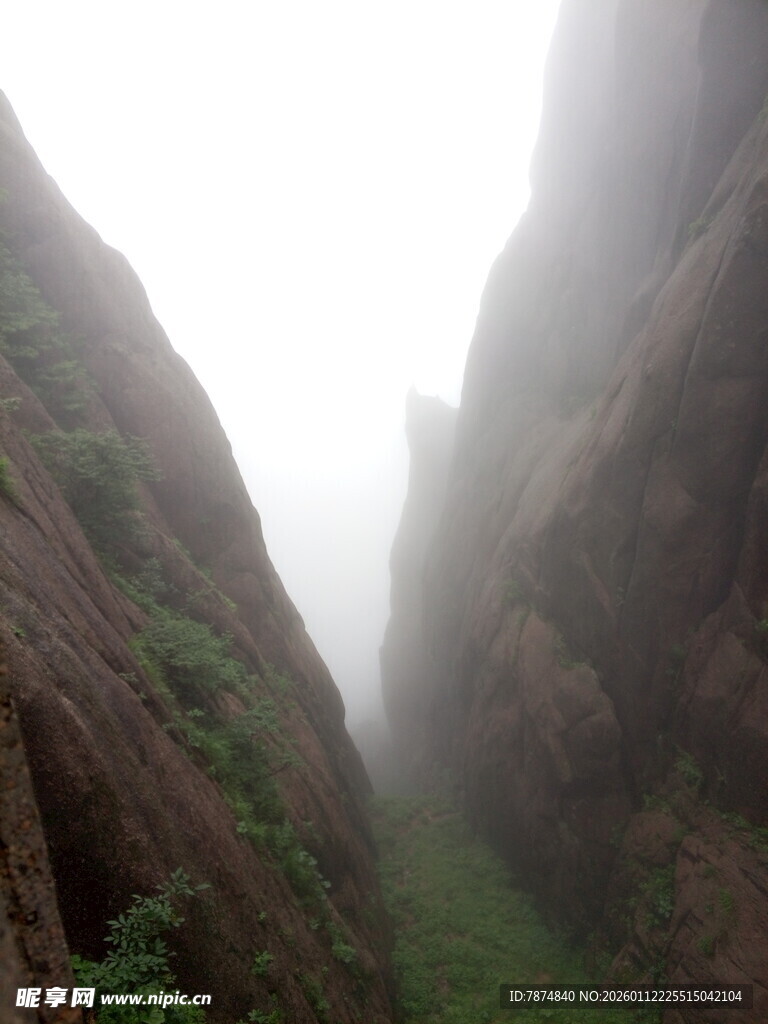 雾中峡谷 峭壁间绿意隐现