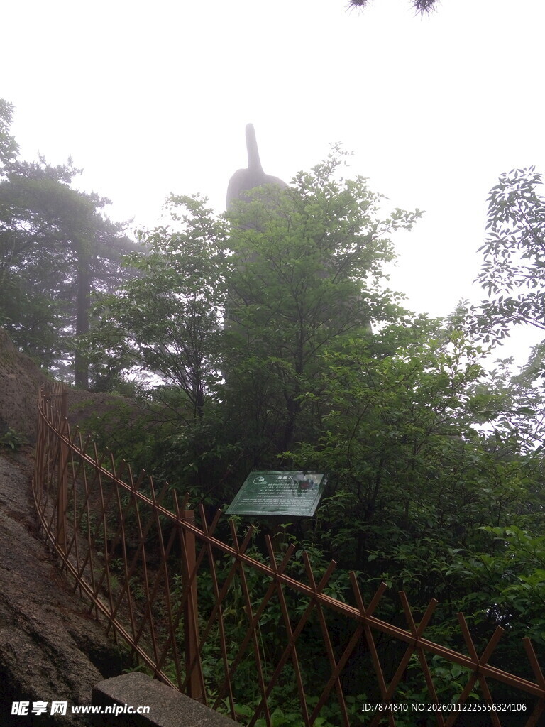 山林中的木质阶梯与标识牌