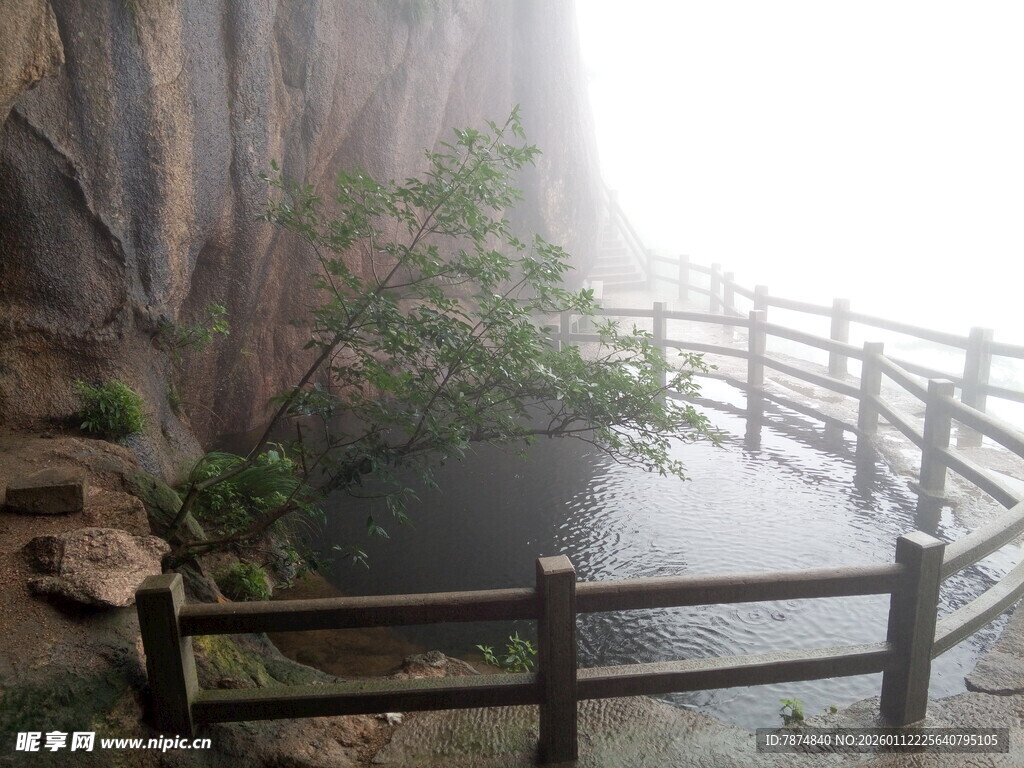 雾中栈道旁的绿植景观