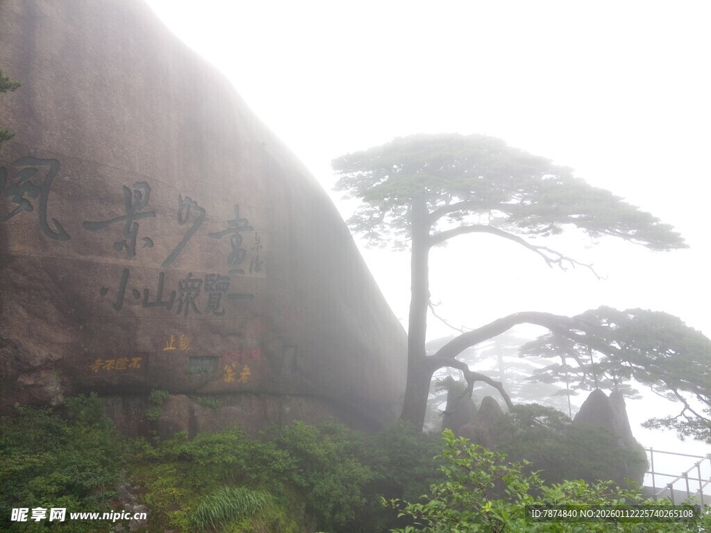 雾中孤松倚巨岩