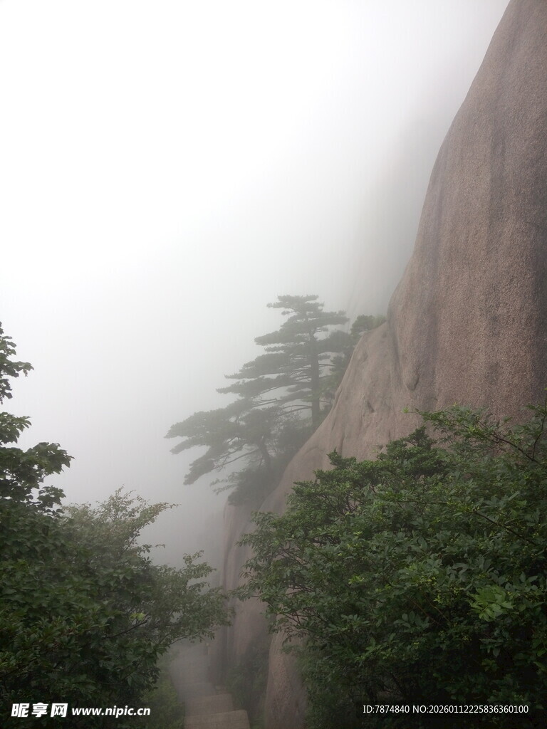 雾中峻岭旁的葱郁绿植
