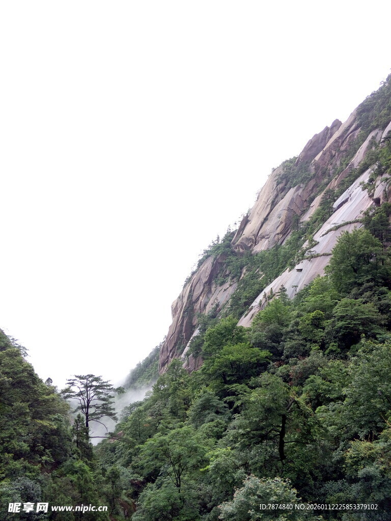 巍峨青山绿意浓