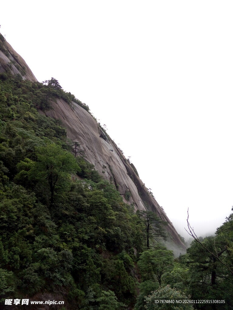 陡峭山壁旁的葱郁植被