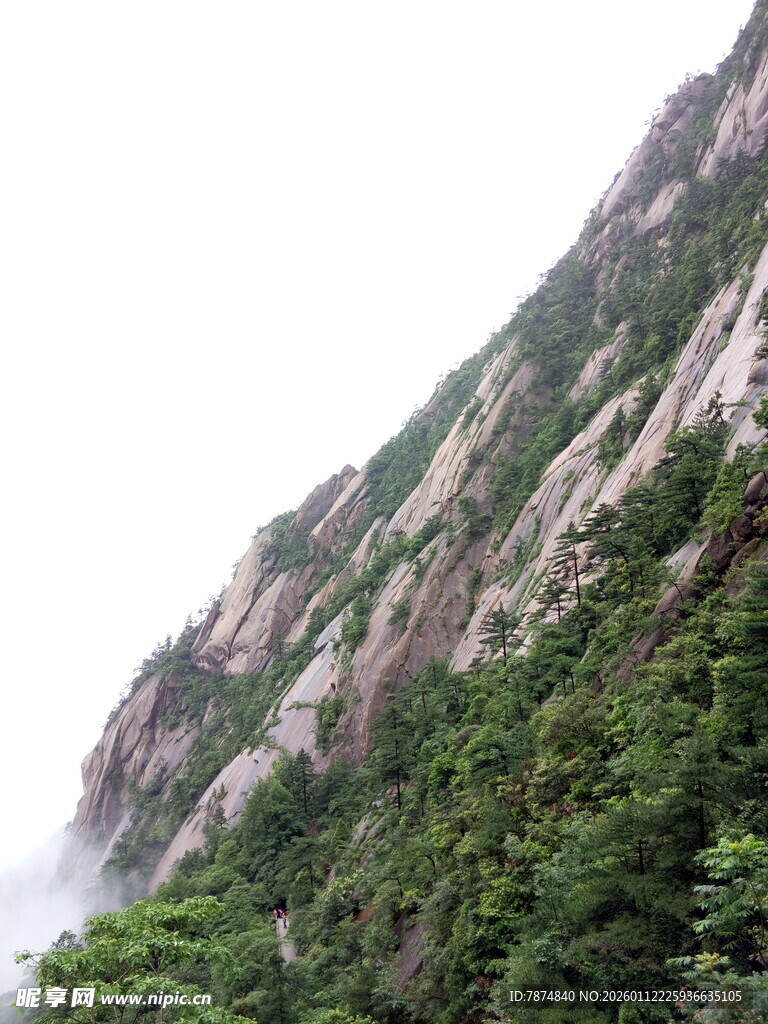 峻峭山峰与葱郁植被