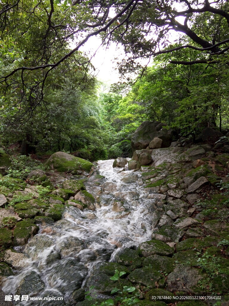 山间溪流 绿意盎然的景致