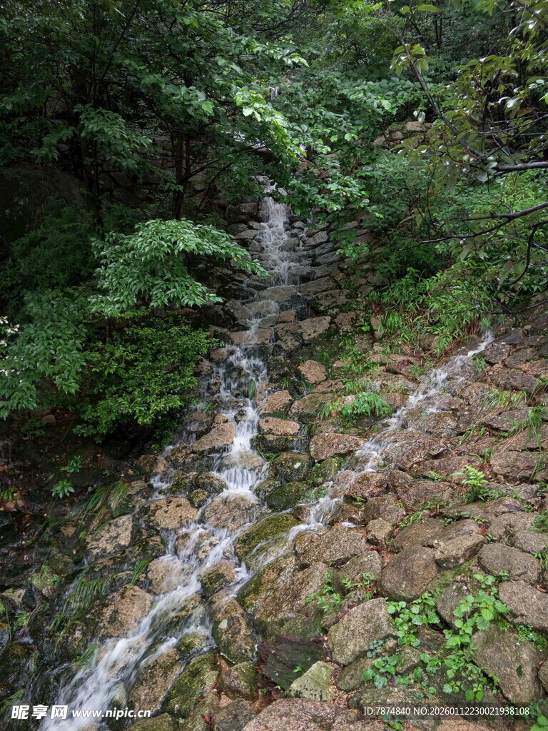 山间溪流 绿意盎然的景致