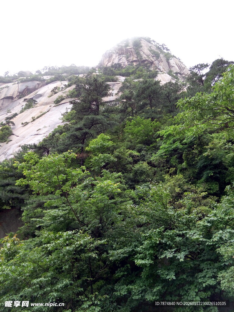 山林绿意与远处雪景