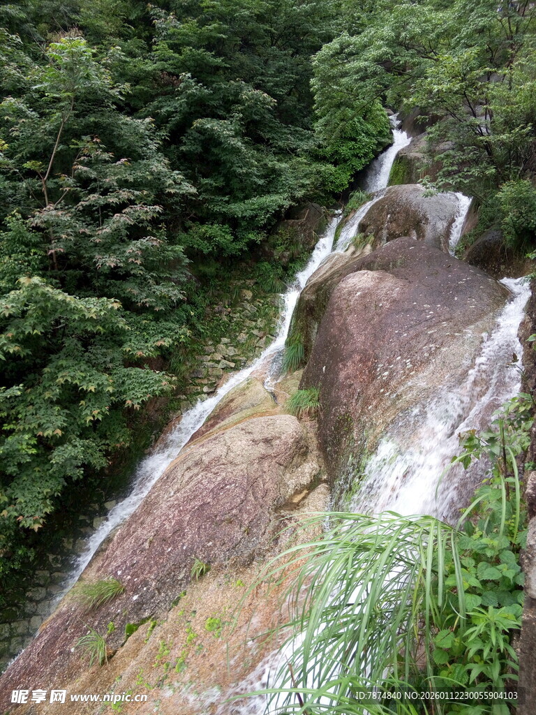 山间瀑布旁的灵动山羊