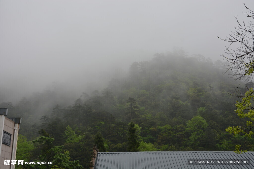 山间雾景 朦胧绿意