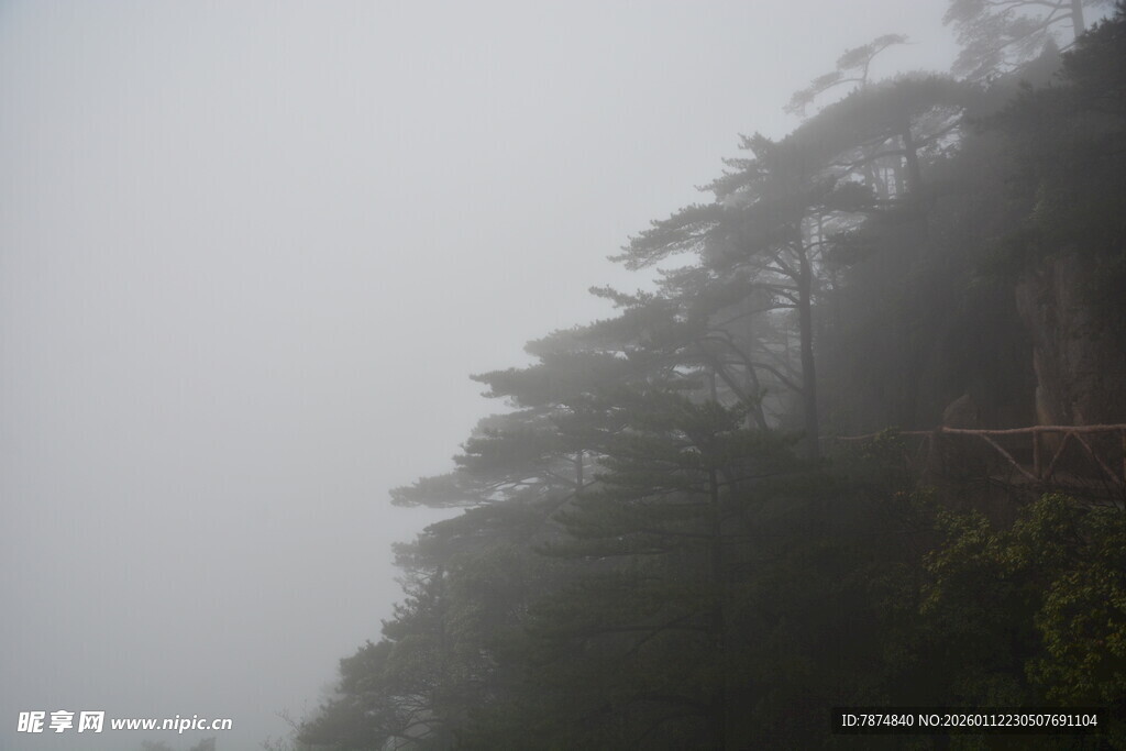 云雾缭绕中的山林景致