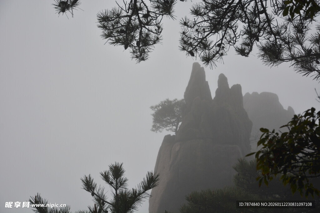 雾中奇峰景观