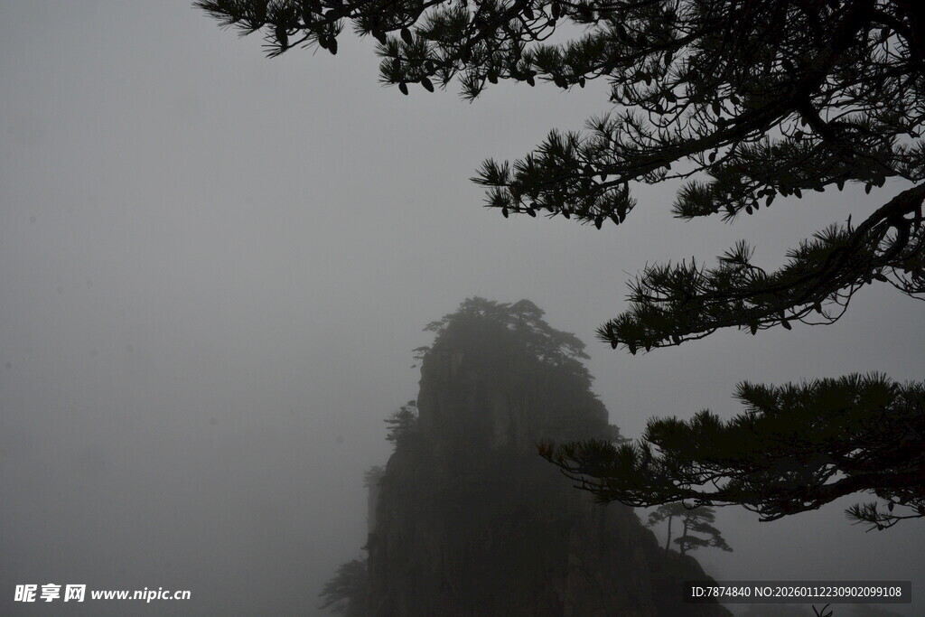 雾中奇峰与松景