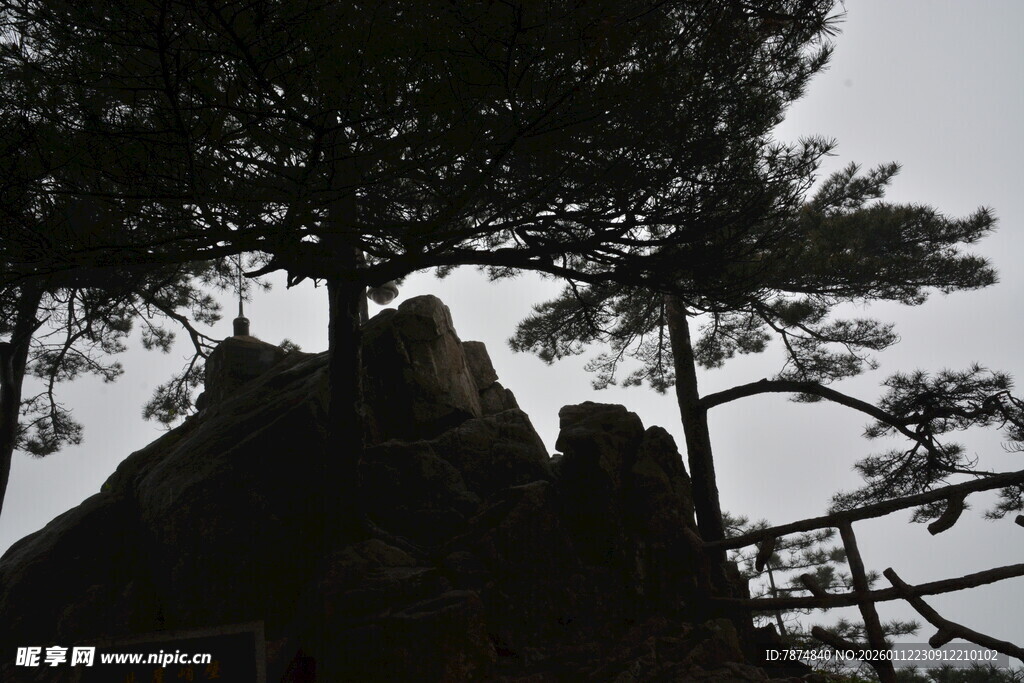 山林间的建筑与树木景观