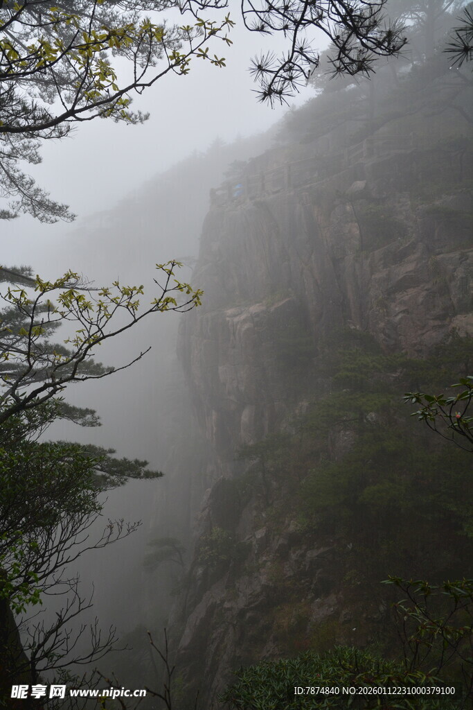雾中峻岭 隐现葱郁树木