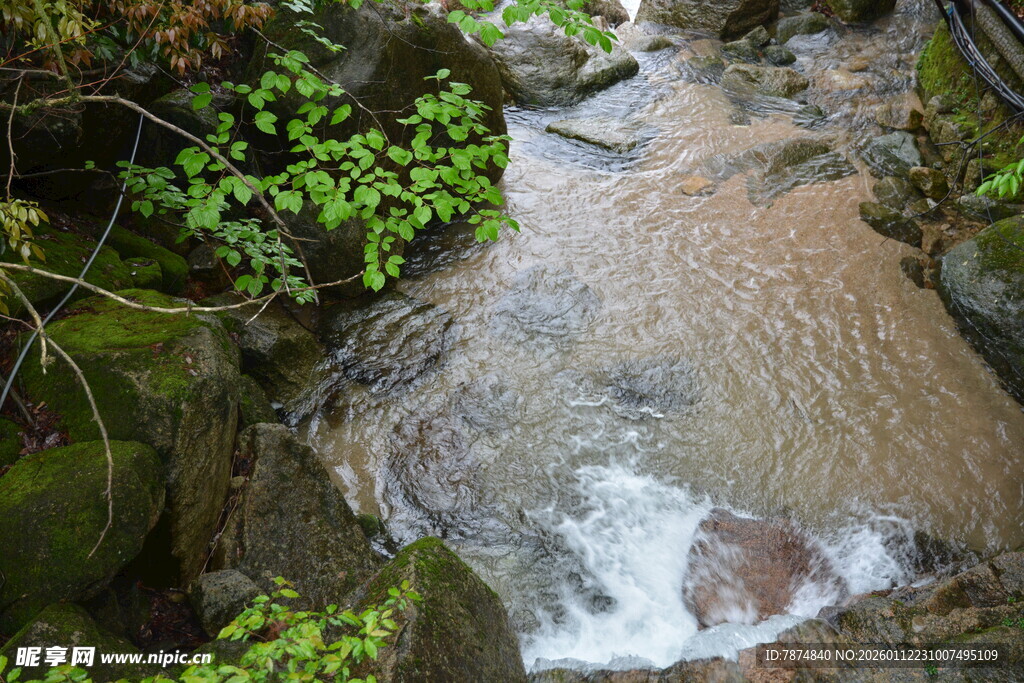 山间溪流 绿意环绕的美景