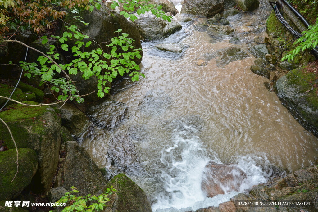 山间溪流潺潺与绿植相伴