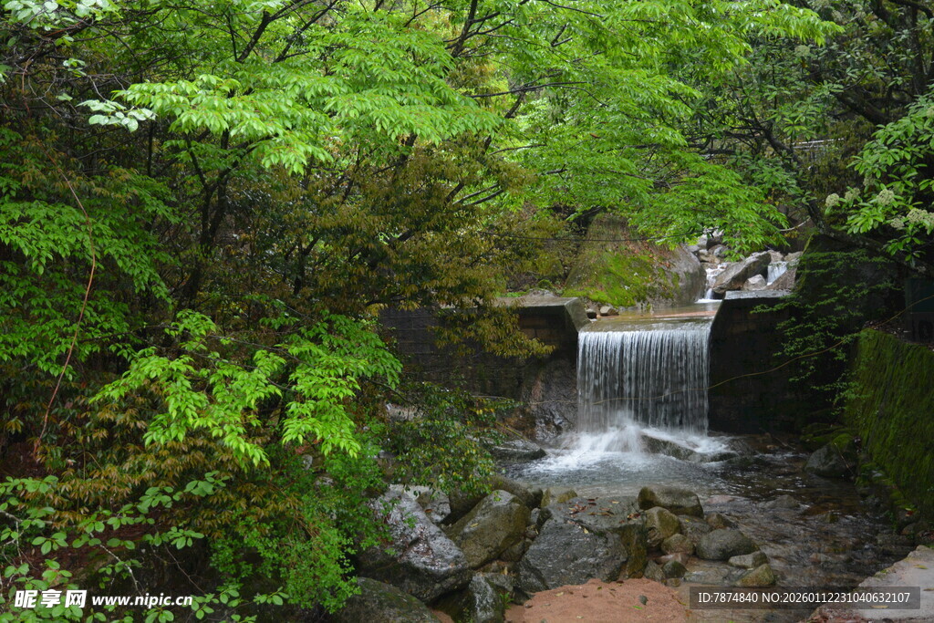 山林间的潺潺溪流美景