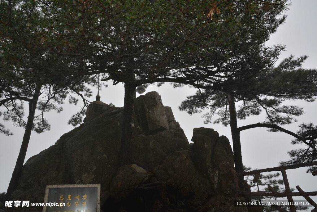 山间奇岩与松树景观