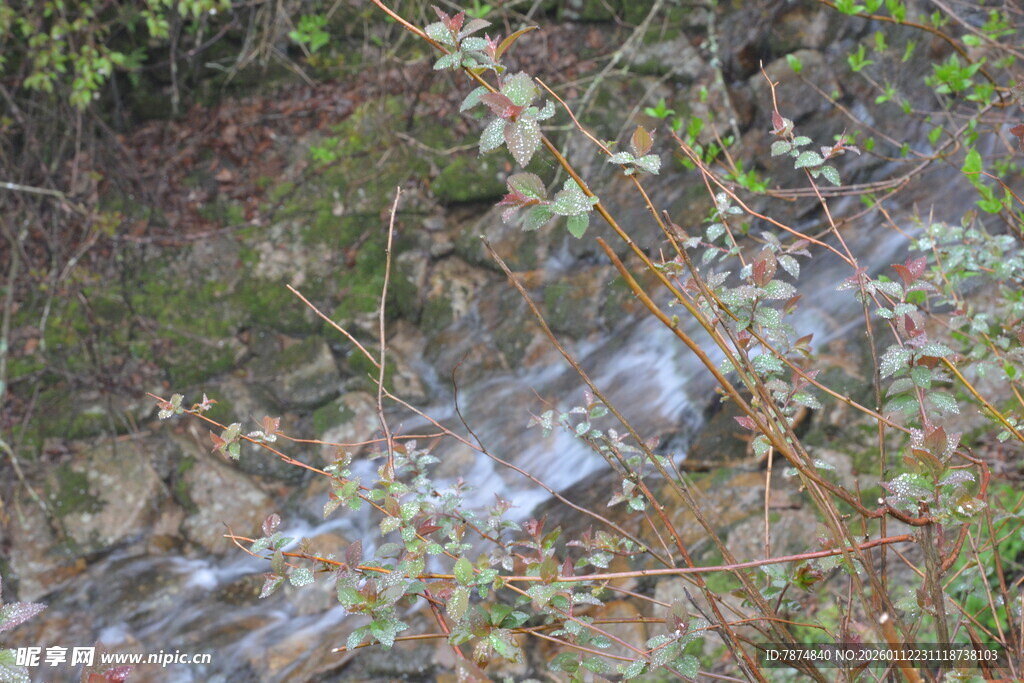 山间潺潺溪流